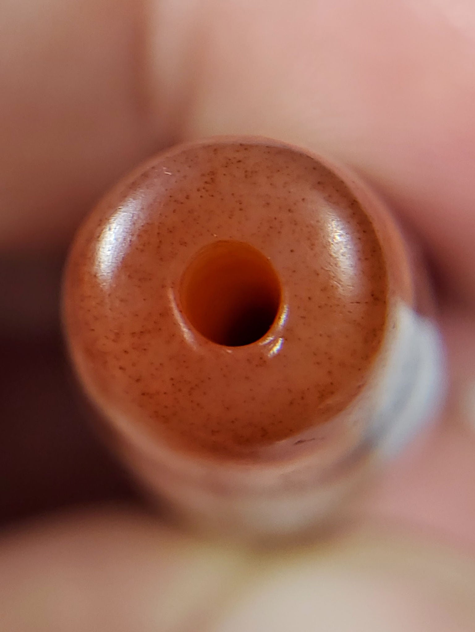 At-102324-DHGE end A terracotta-russet domed cap cinnabar speckle unretouched macro
