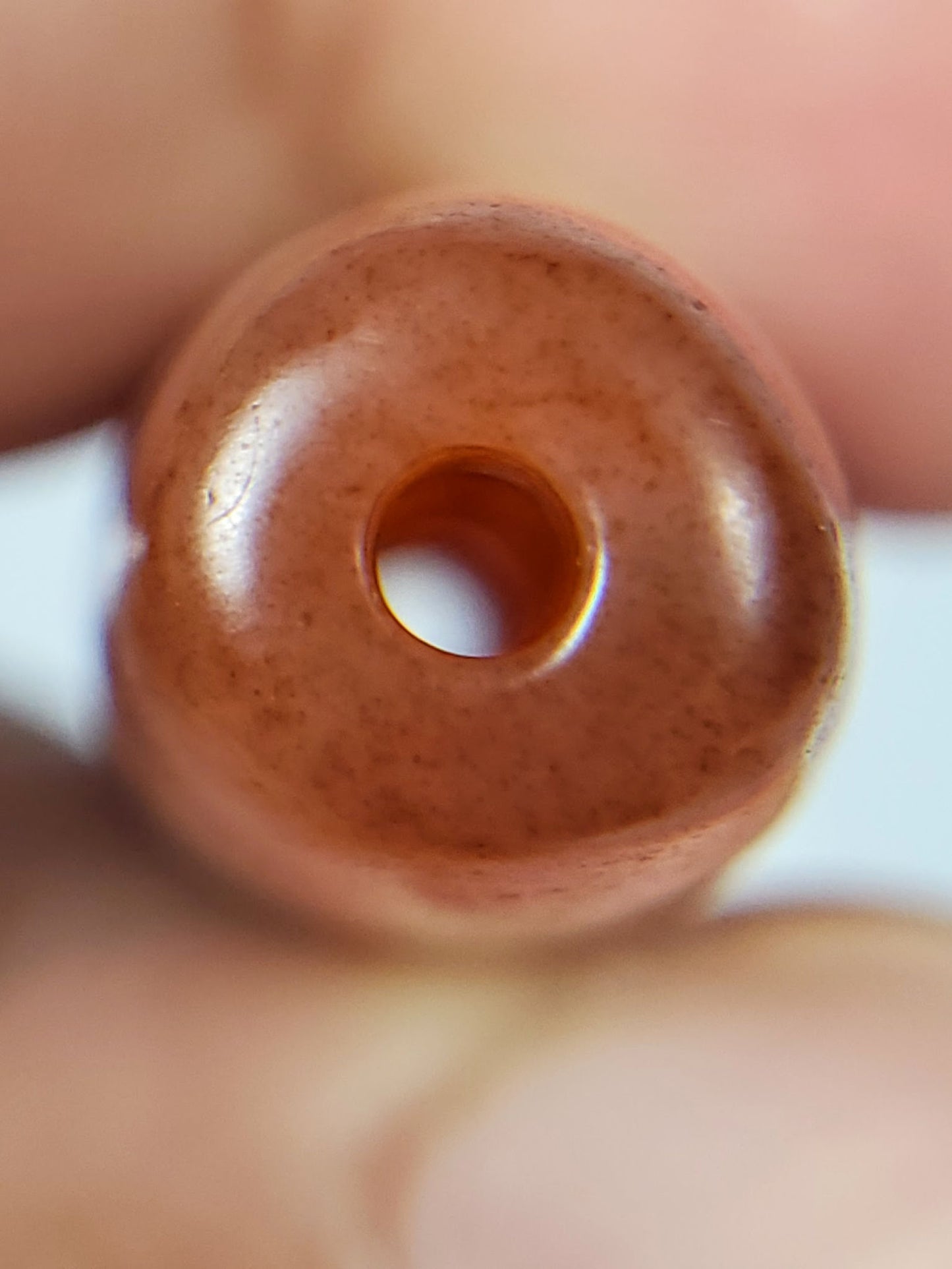 At-102324-DHGE end B terracotta-russet domed cap cinnabar speckle unretouched macro