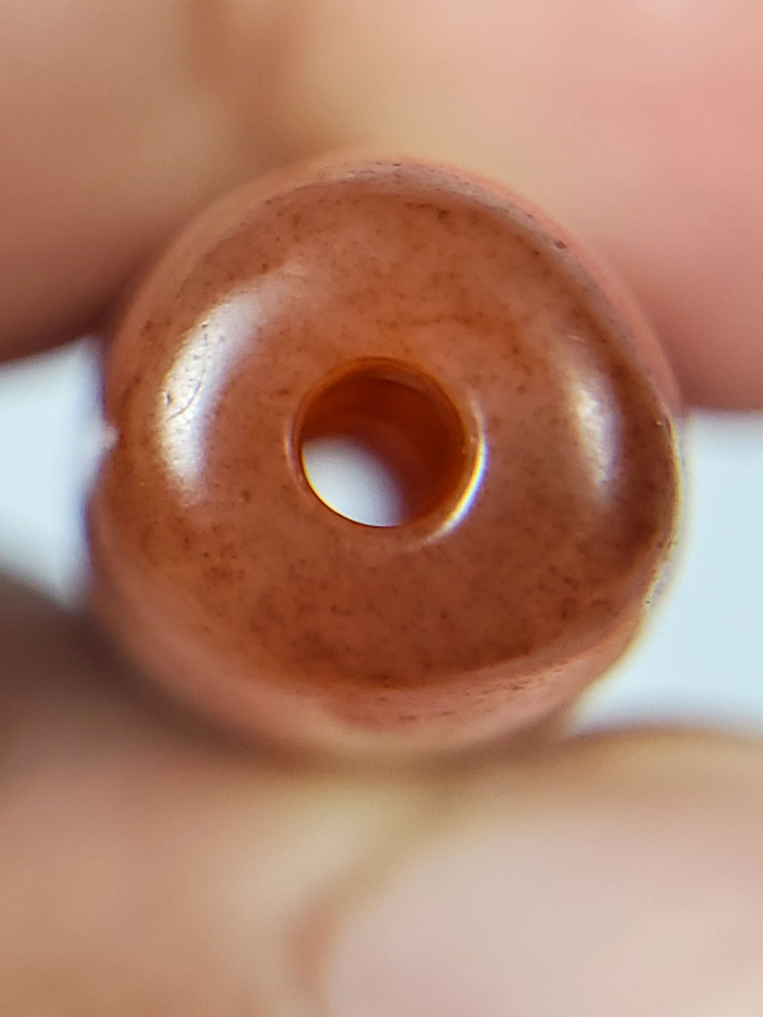 At-102324-DHGE end B terracotta-russet domed cap cinnabar speckle unretouched macro