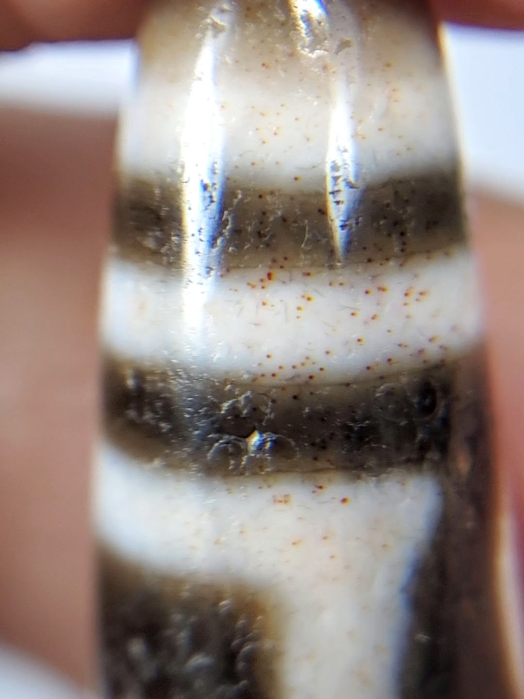 Macro bloodspot view on antique H&E Dzi — fine orange-red cinnabar dots in cream agate zone