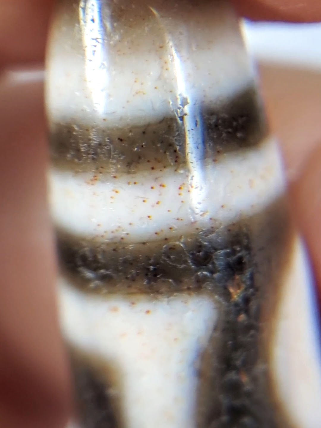 Second bloodspot macro on antique H&E Dzi — orange-red cinnabar dots across cream and dark stripes