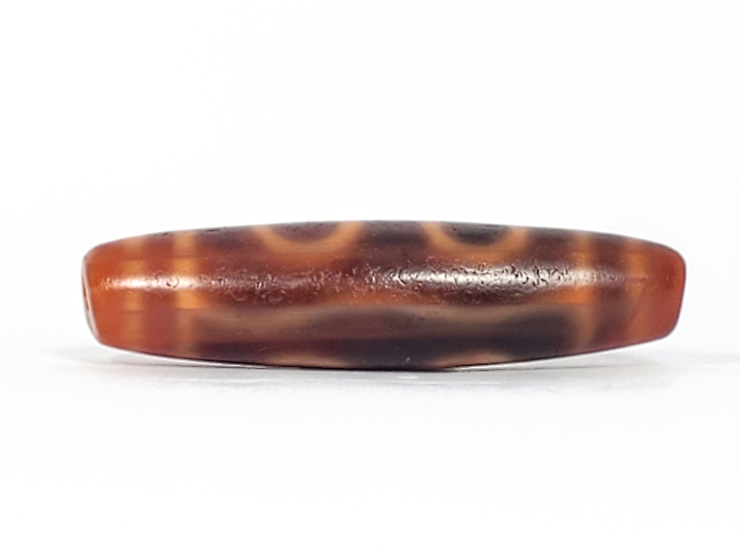 At-060126-4E2, Face B, two-tone agate dark ridge and terracotta-orange lower body, open C-ring eyes visible, unretouched