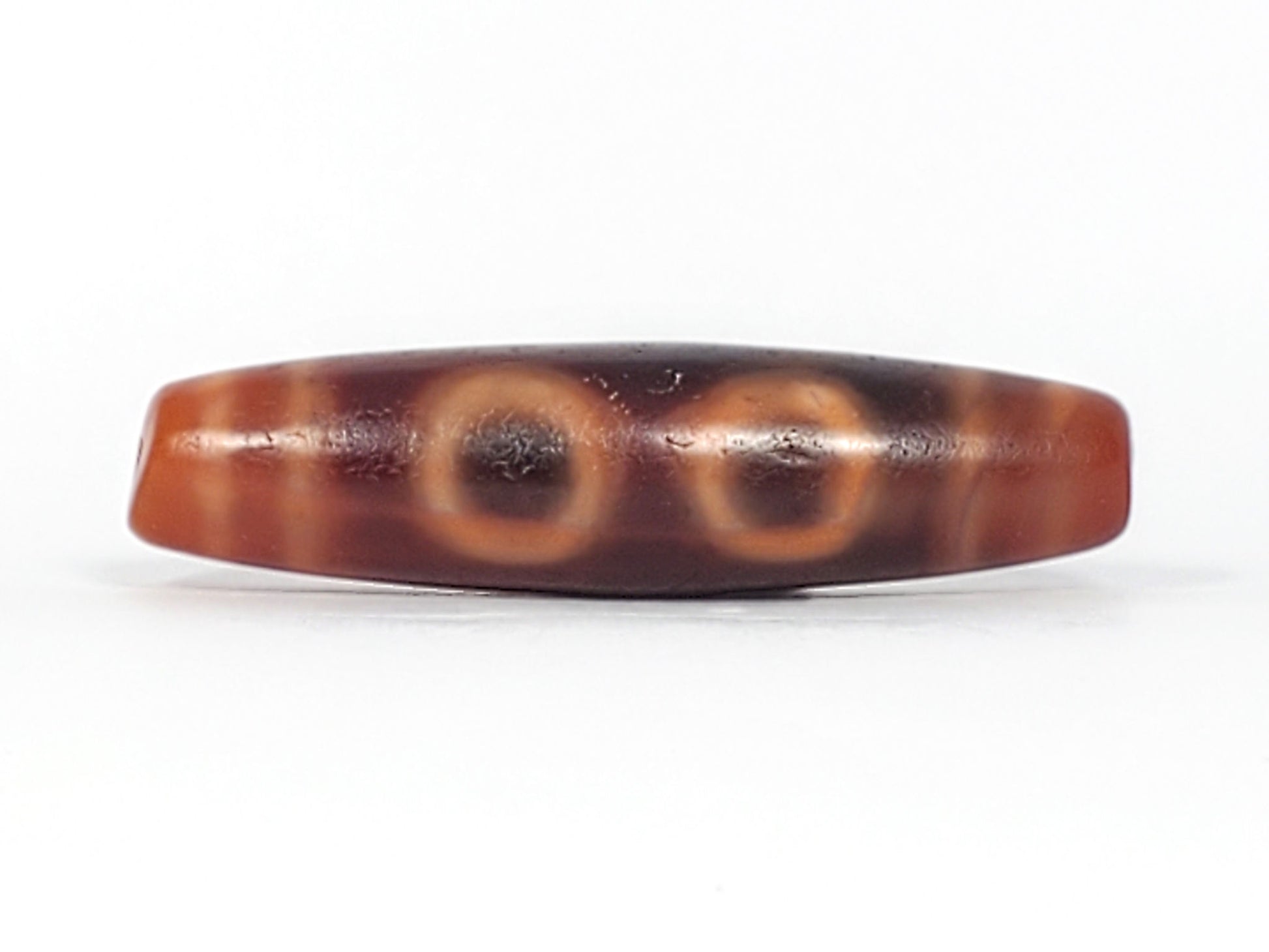 At-060126-4E2, clearest view of open C-ring eyes, warm terracotta-orange on deep dark-brown ground, elongated spindle, unretouched