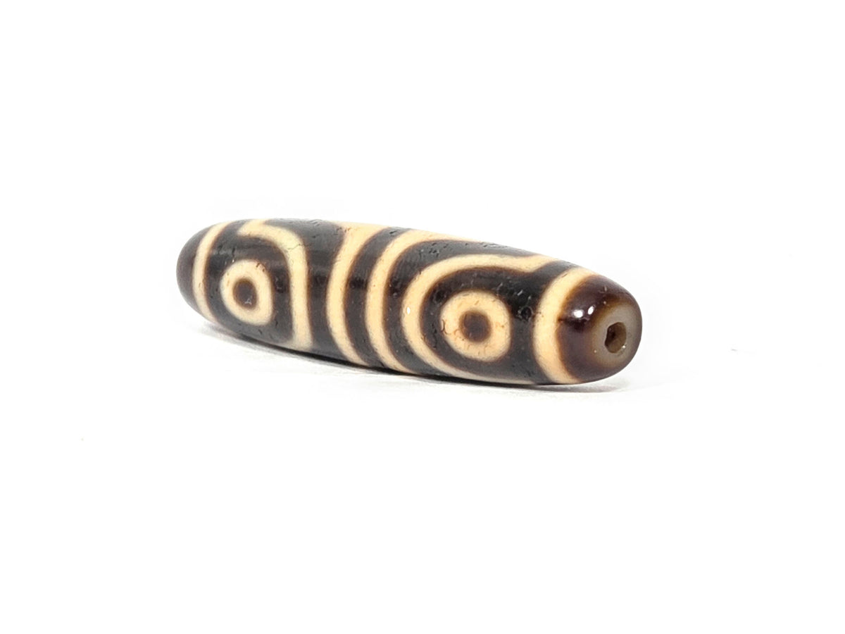 Opposite end of antique Four Eye Tiger Tooth dzi bead showing drill hole and eye motifs along body, At-082525-4ETT