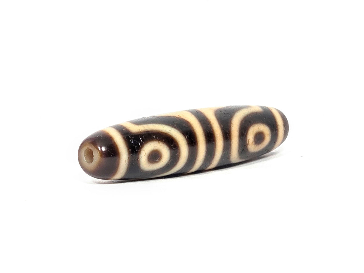 Angled end view of antique Four Eye Tiger Tooth dzi bead showing drill hole and two eye forms on body, At-082525-4ETT
