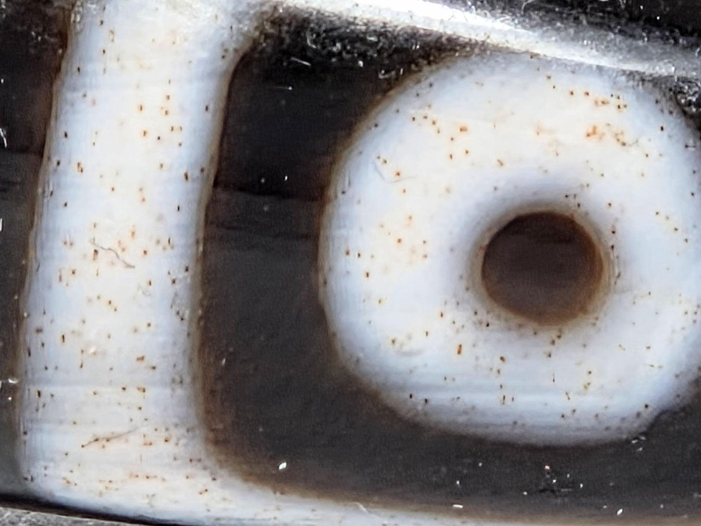 At-042626-4E3 macro, rust-orange cinnabar micro-dots scattered across white square-framed eye zone, unretouched