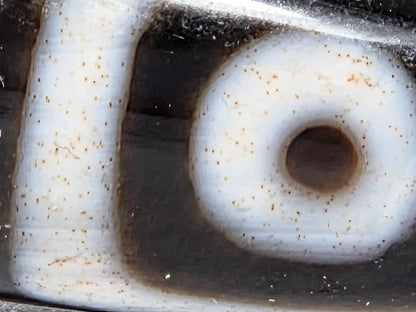 At-042626-4E3 macro, rust-orange cinnabar micro-dots scattered across white square-framed eye zone, unretouched