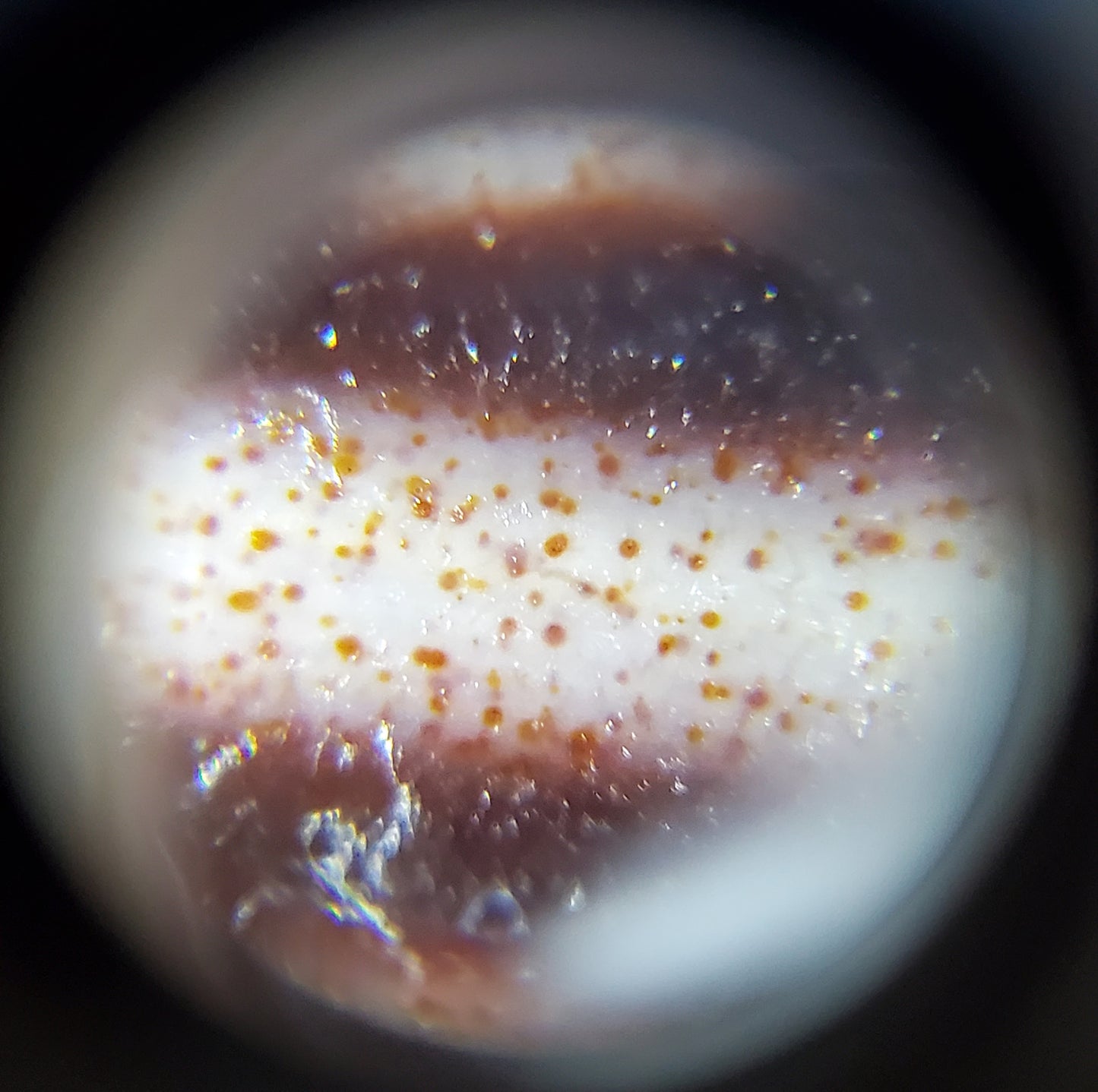 老天珠九眼血斑（TiD-NE-B-E1）- 稀有西藏天珠