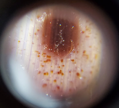老天珠九眼血斑（TiD-NE-B-E1）- 稀有西藏天珠