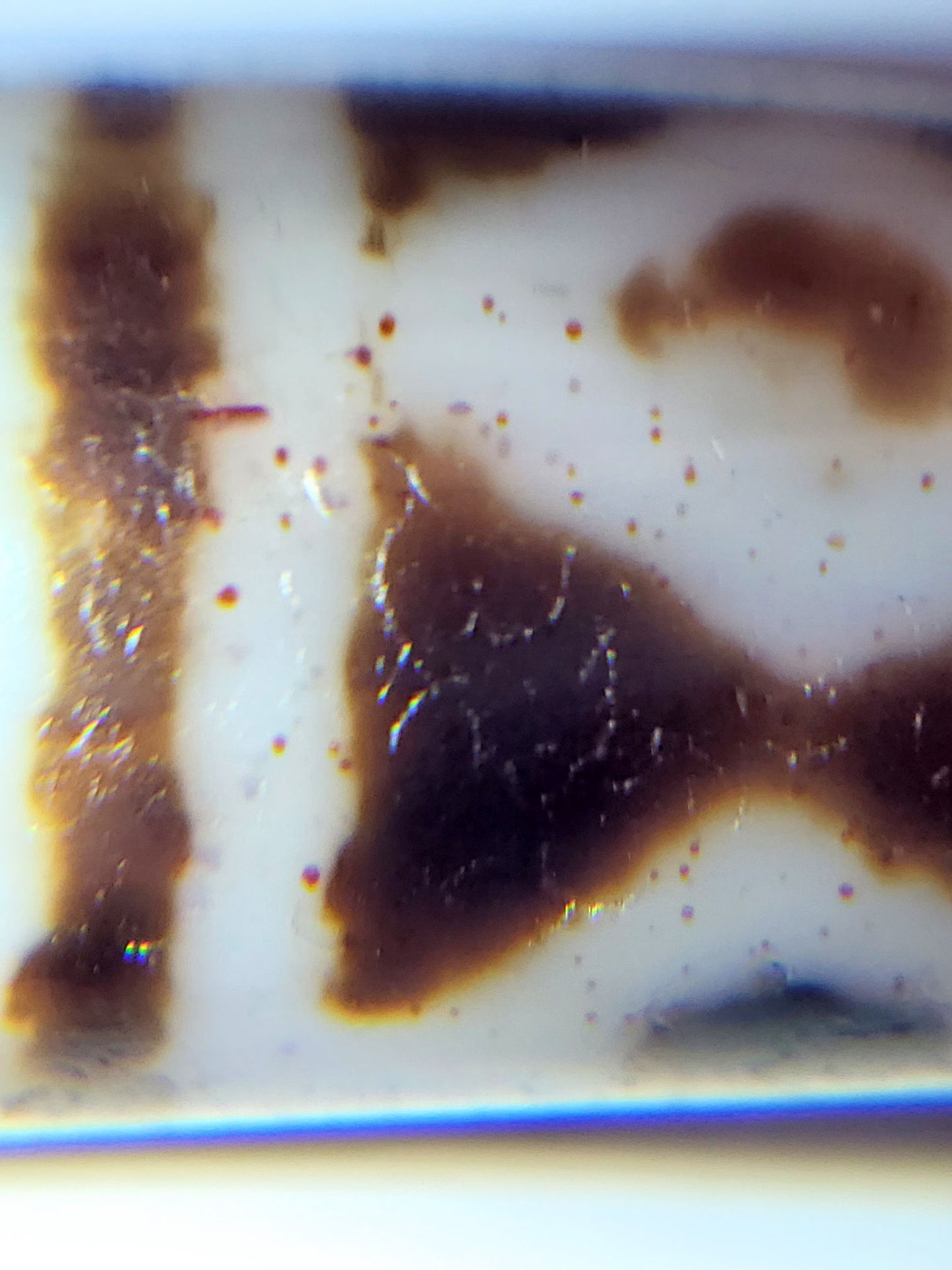 At-082524-DS antique diamond spear agate dzi macro bloodspot boundary masses rust-orange halos cream zone unretouched