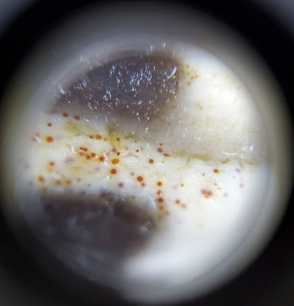 古董四眼纹天珠，带有极致血丝（TiD-Ant-FoE-XB）- 极其罕见