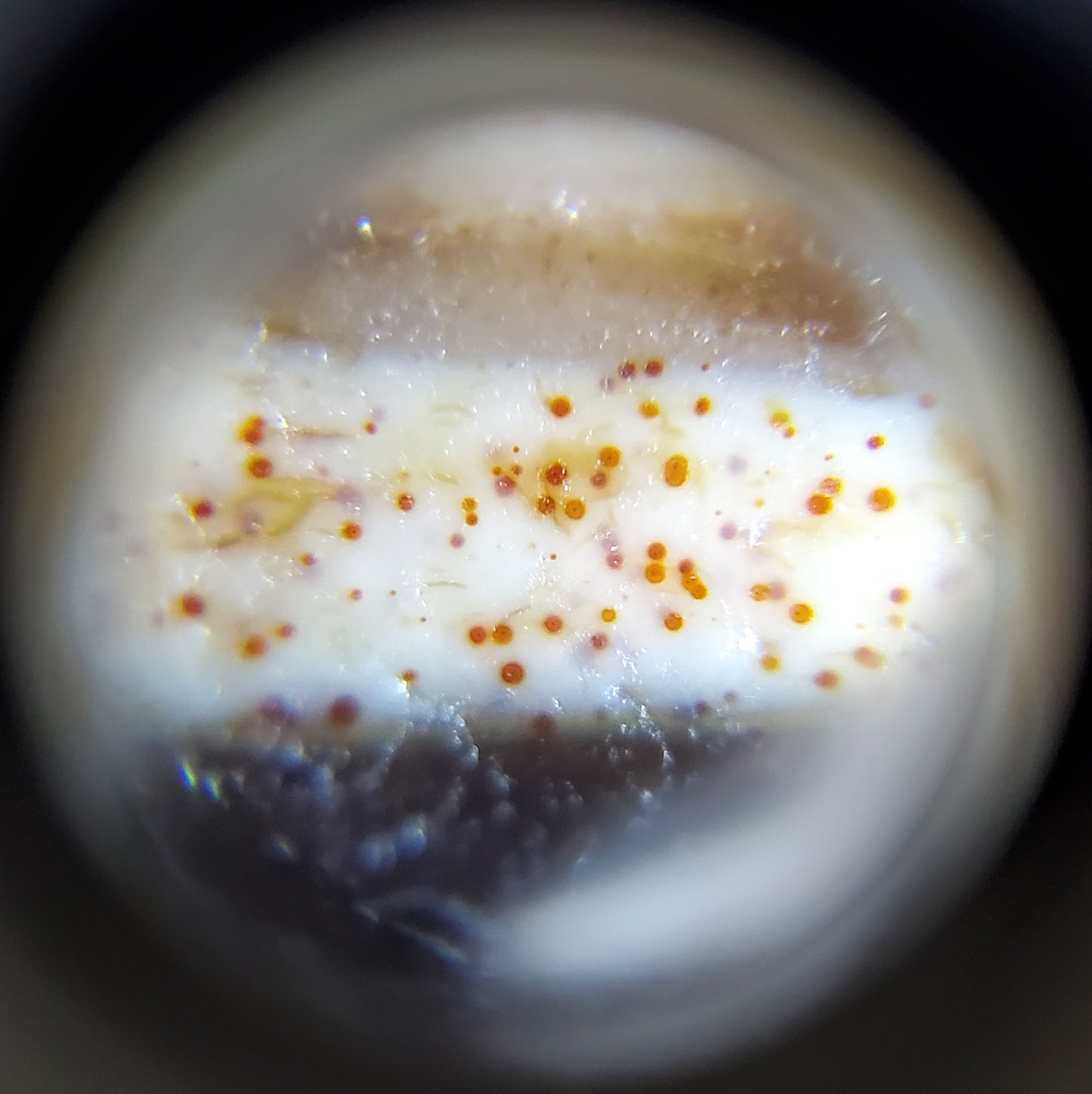 古董四眼纹天珠，带有极致血丝（TiD-Ant-FoE-XB）- 极其罕见