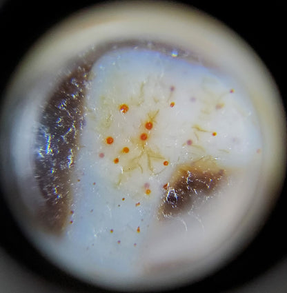 古董四眼纹天珠，带有极致血丝（TiD-Ant-FoE-XB）- 极其罕见
