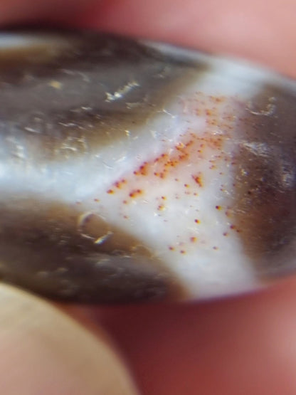 Macro view of the bloodspots on this Tasso Dzi