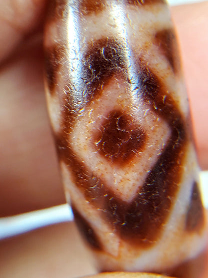 Macro of antique Three Diamond Eye Tiger Tooth dzi At-053126-3DETT, single diamond eye showing cinnabar bloodspot inclusions in cream field and dark zones, aged agate surface, unretouched