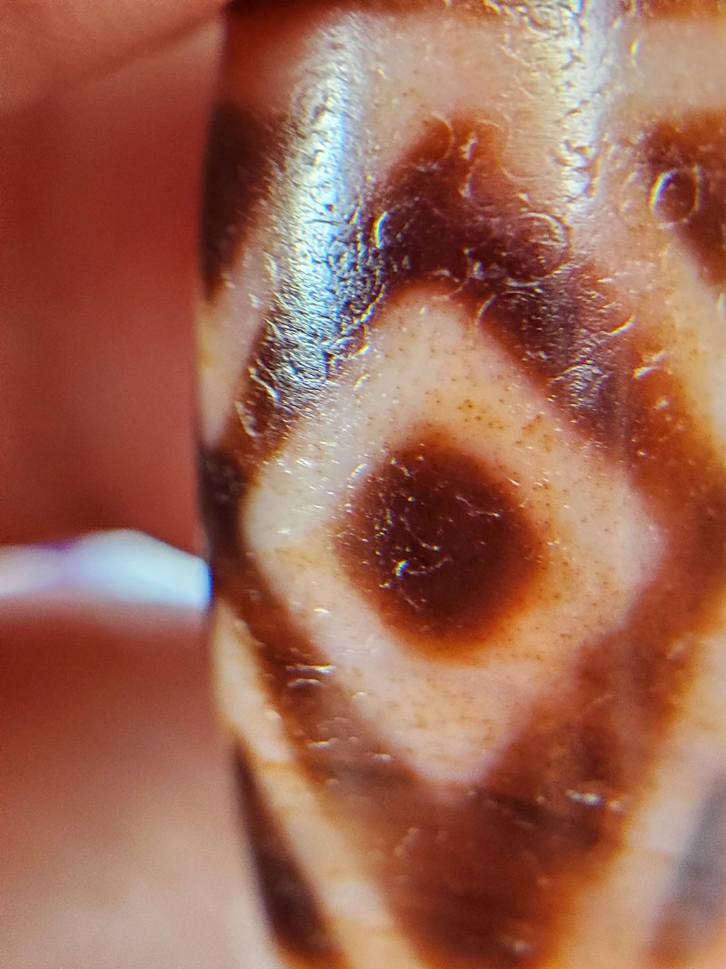 Macro of antique Three Diamond Eye Tiger Tooth dzi At-053126-3DETT, second diamond eye with cinnabar micro-dot bloodspots in dark zones and cream field, aged surface texture, unretouched