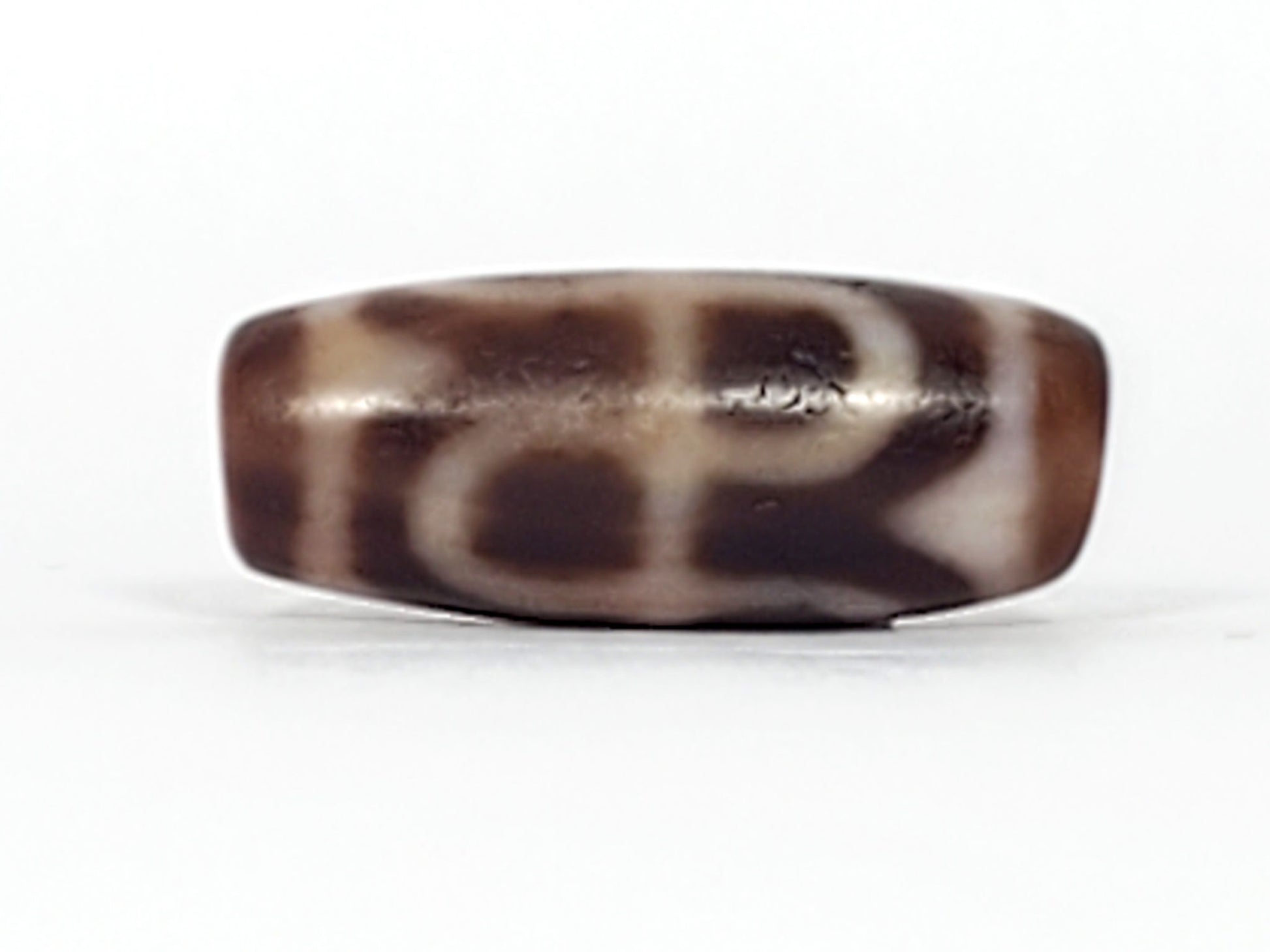 At-091124-TTL face C tiger tooth arc warm brown agate organic dark markings dzi unretouched