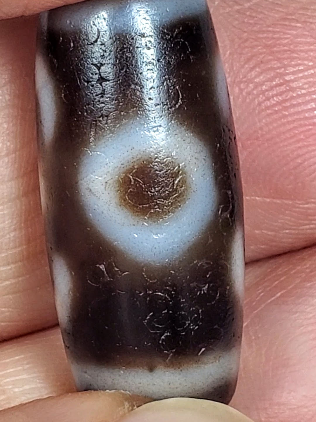 Macro view of antique Double Bat Two Eye dzi At-053026-DB2E, dark brown agate barrel, cream motif wrapping body, bloodspot inclusions in dark zones, 28.8mm × 12.0mm, unretouched