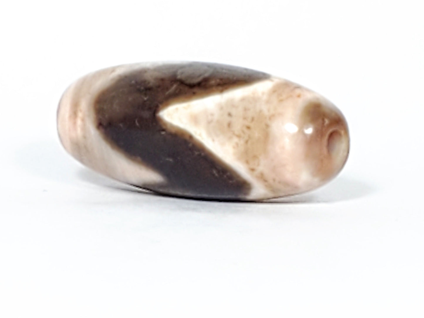 At-053126-Ta4, angled end-cap view, warm rose-cream cap with drilled hole, chocolate-brown tooth sweeping body, unretouched