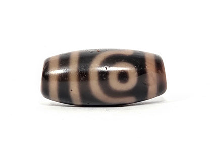 At-033126-2E5, second fully closed concentric eye on opposite face, warm dark-brown, sandy cream rings, unretouched