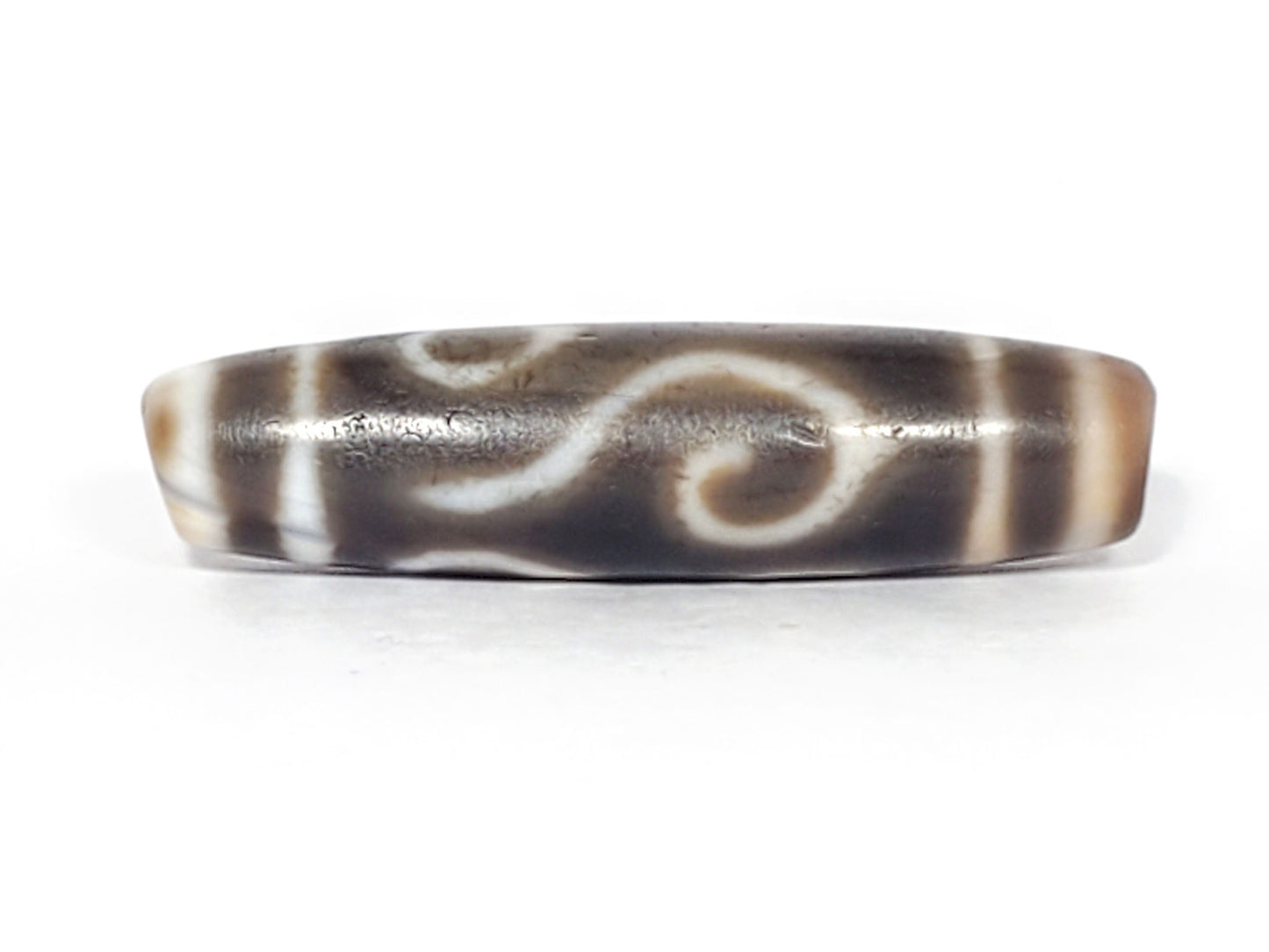 Ac-061926-DC4E second conch scroll face, inverted S-curl, vertical stripe dividers, matte surface, unretouched