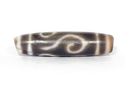 Ac-061926-DC4E second conch scroll face, inverted S-curl, vertical stripe dividers, matte surface, unretouched