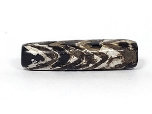 Ac-071026-4TT ancient tiger tooth dzi bead 32.7x9.7mm pitch-black agate four rows calcification face 1 unretouched