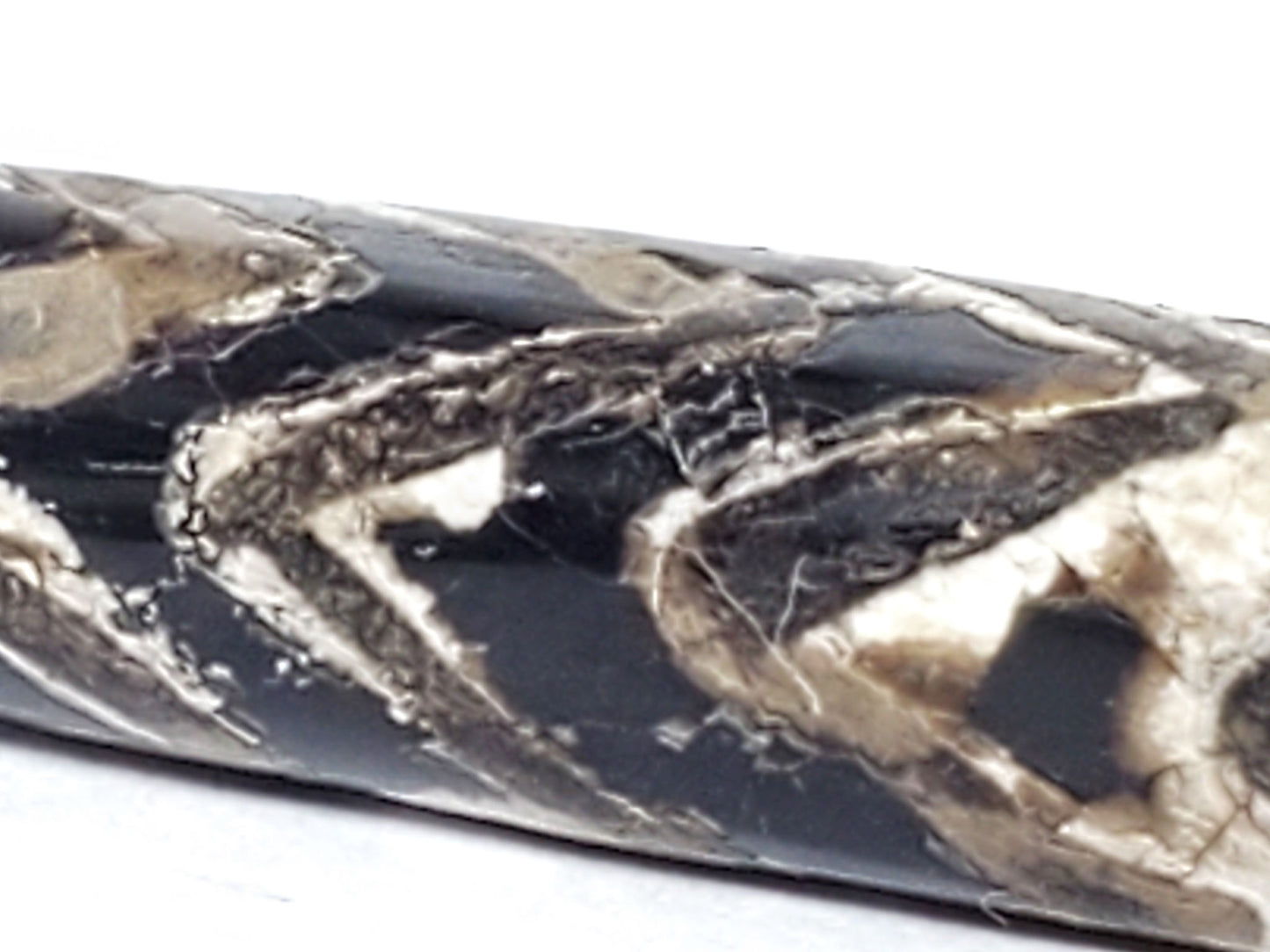 Ac-071026-4TT ancient tiger tooth dzi bead macro end zone calcification nodule pitch-black ground unretouched