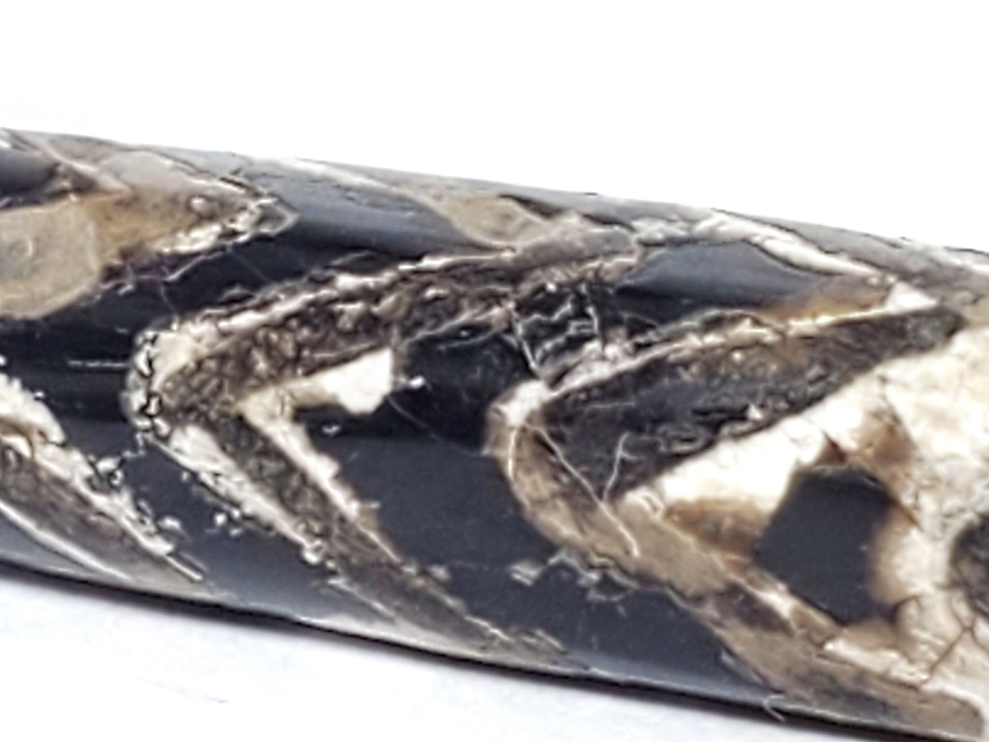 Ac-071026-4TT ancient tiger tooth dzi bead macro end zone calcification nodule pitch-black ground unretouched
