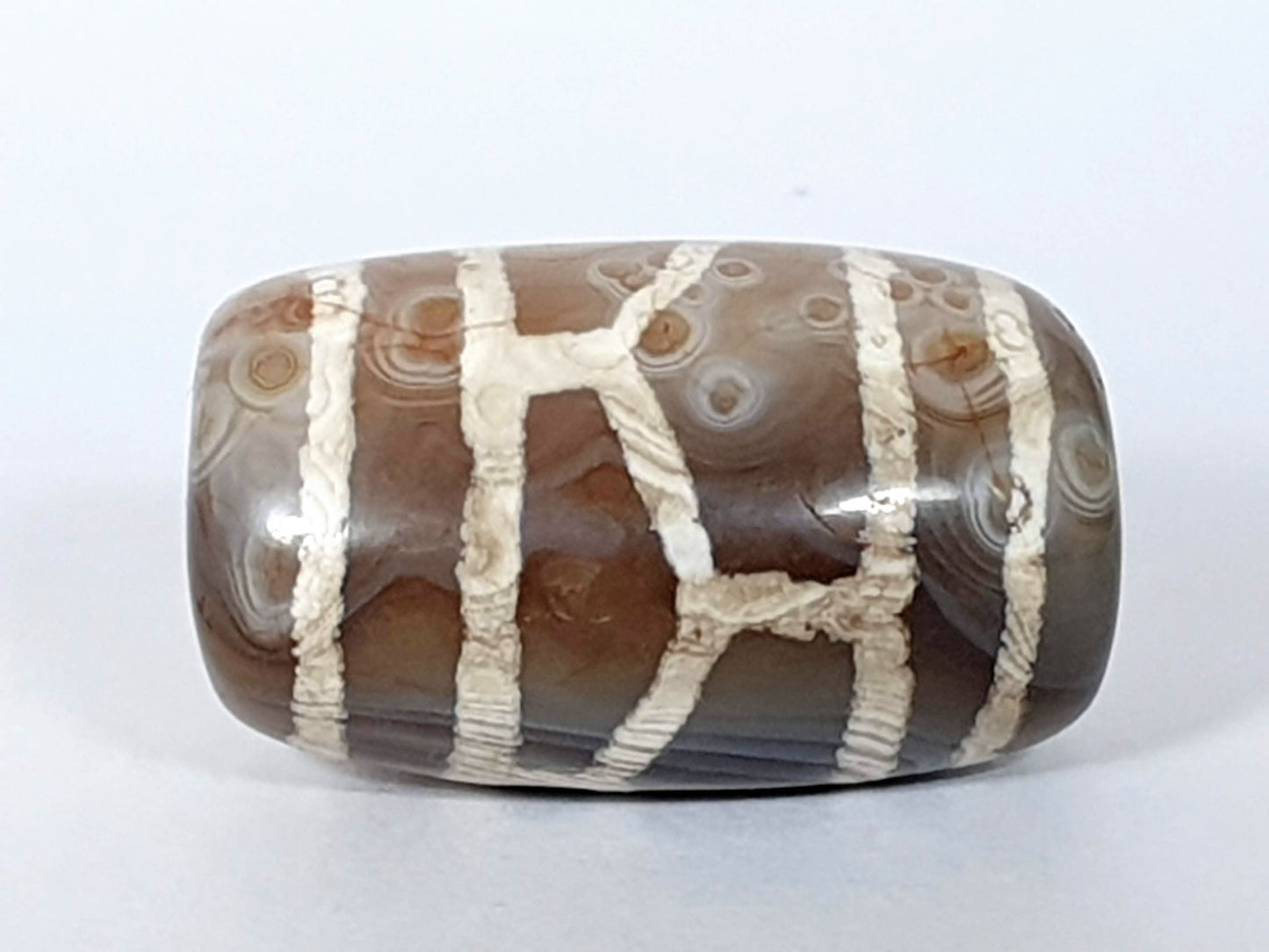 Antique longevity dzi — third face, complete raised lattice, circular agate banding rings across brown ground, At-0426-Lon2