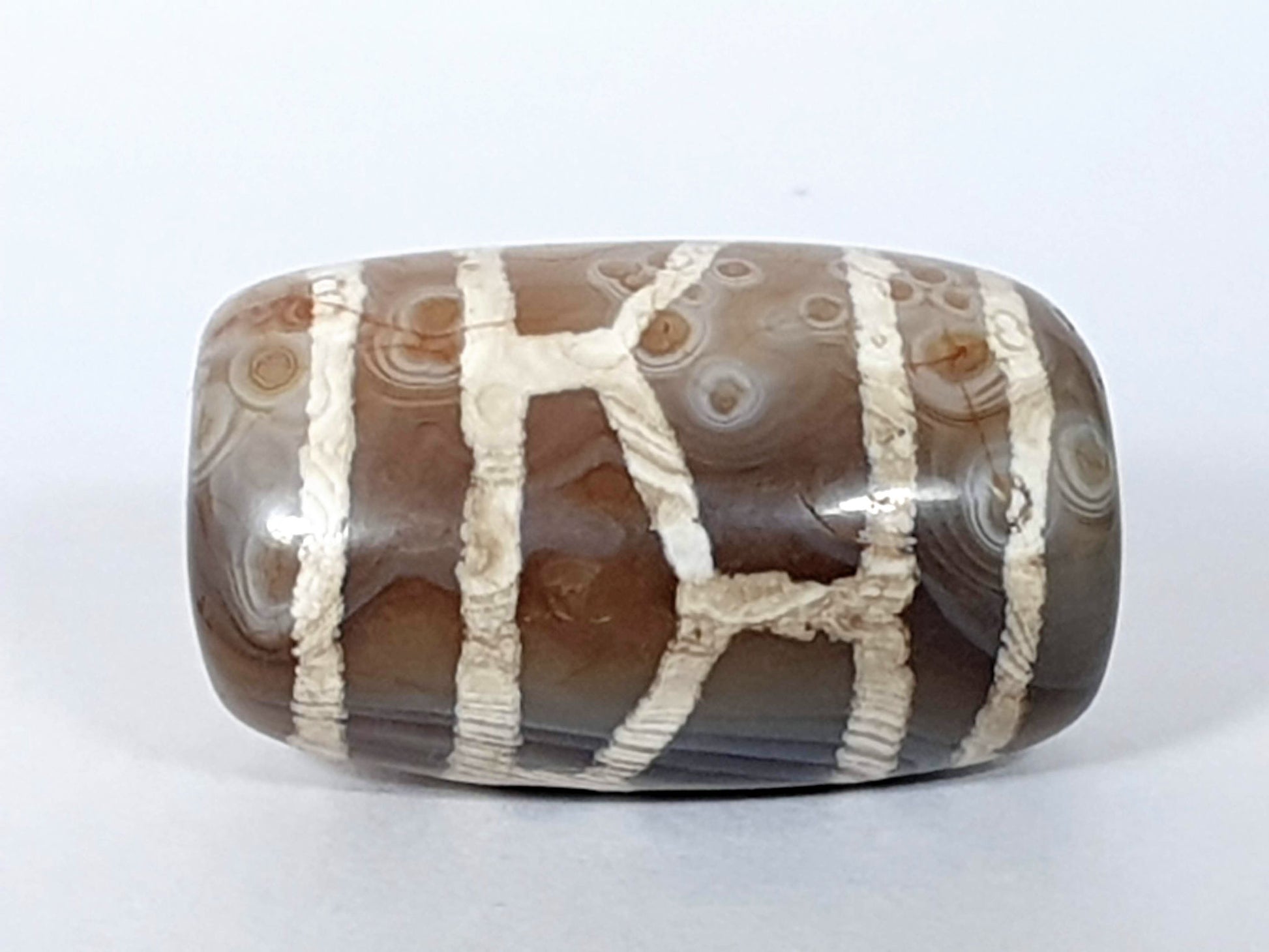 Antique longevity dzi — third face, complete raised lattice, circular agate banding rings across brown ground, At-0426-Lon2