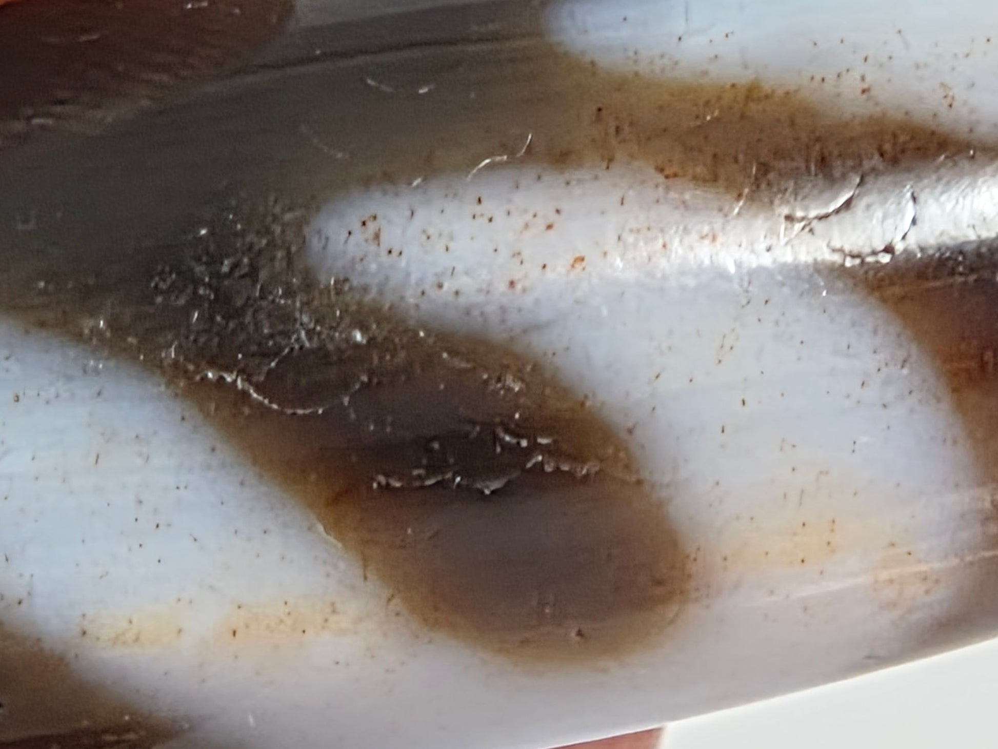 N-070526-MHkBS macro motif-boundary zone, reddish-brown cinnabar bloodspots, cream-zone scattered, unretouched