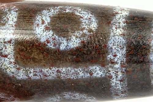 N-062126-6E dzi bead, macro view of boundary-concentrated cinnabar on ring eye, unretouched