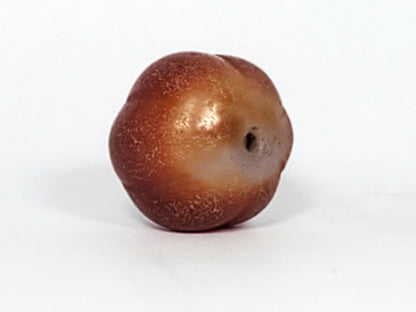 Ac-061126-PKP Bead B angled drill hole end, golden-brown zone with natural banding, weathered bore, unretouched