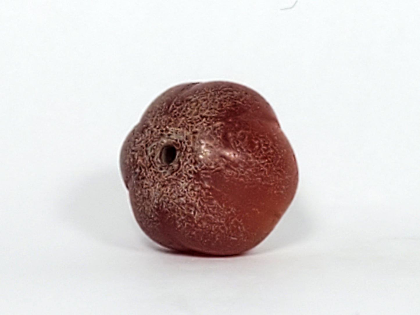 Ac-061126-PKP Bead B drill hole face, lobed pumpkin outline from pole, natural banding fanning from bore, unretouched
