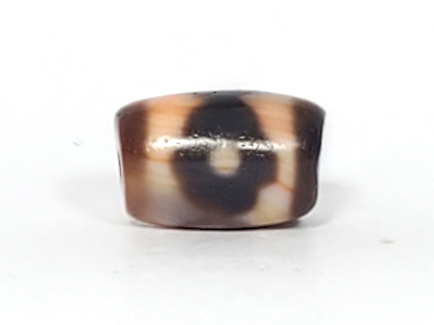 At-061926-3E2 Face B, closed ring eye, dark brown form, warm cream-white bands, unretouched