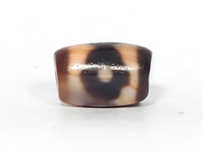 At-061926-3E2 Face B, closed ring eye, dark brown form, warm cream-white bands, unretouched