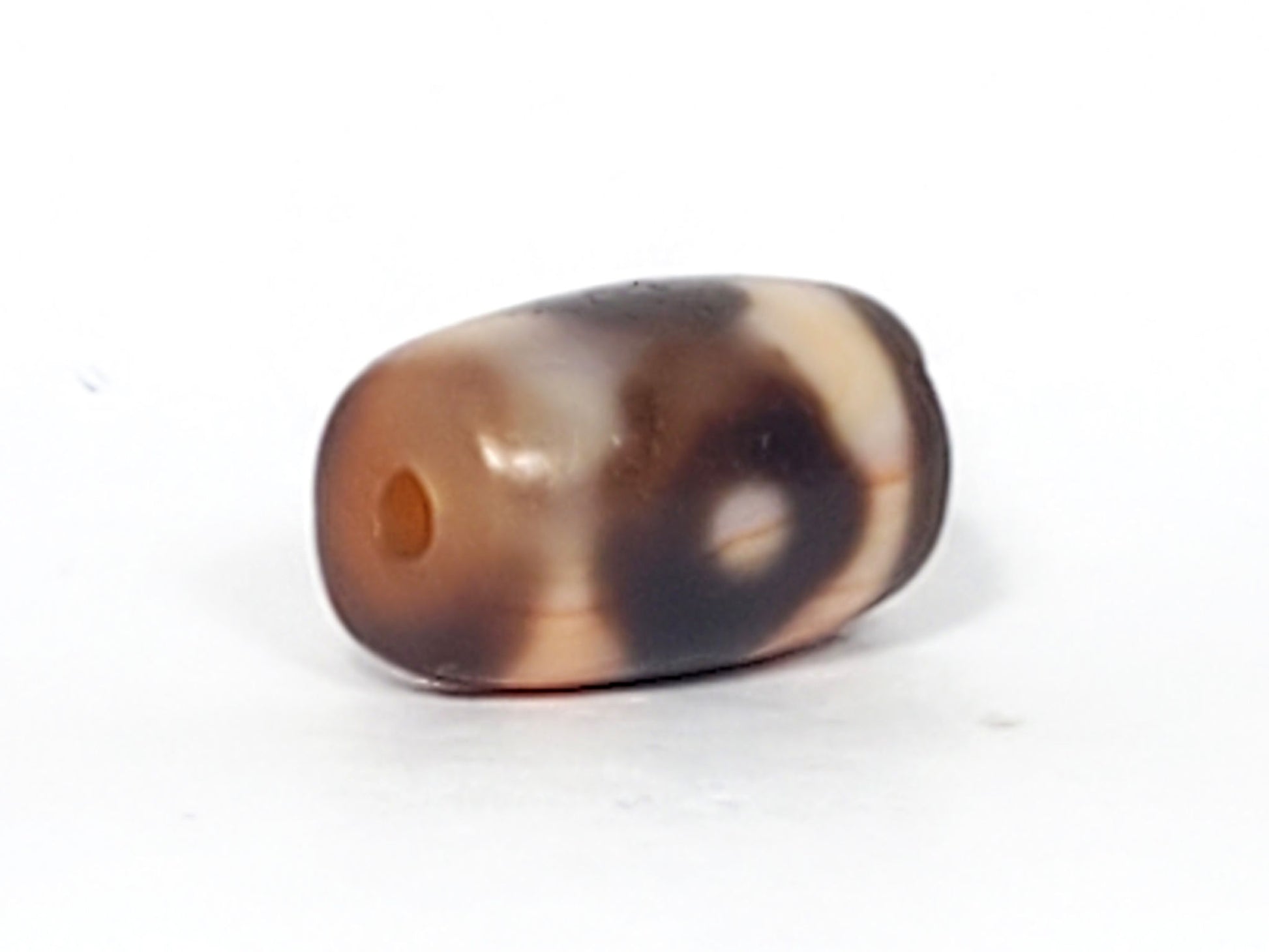 At-061926-3E2 opposite tip, small drill hole, warm golden-brown interior, unretouched