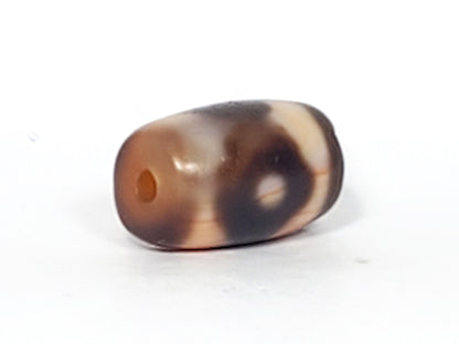 At-061926-3E2 opposite tip, small drill hole, warm golden-brown interior, unretouched