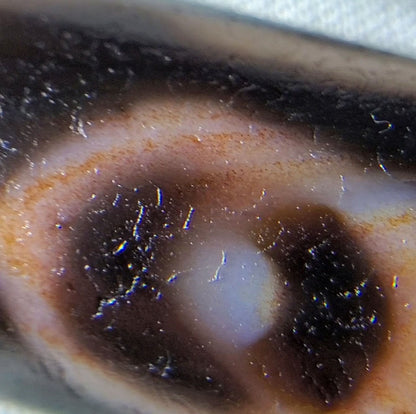 At-061926-3EEG macro, cinnabar speckles within eye interior, pale pupil highlight, unretouched
