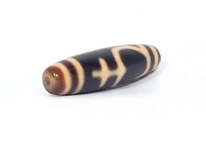 老式藏宝瓶图腾天珠 (TiD-Ant-200-TrV-081224)