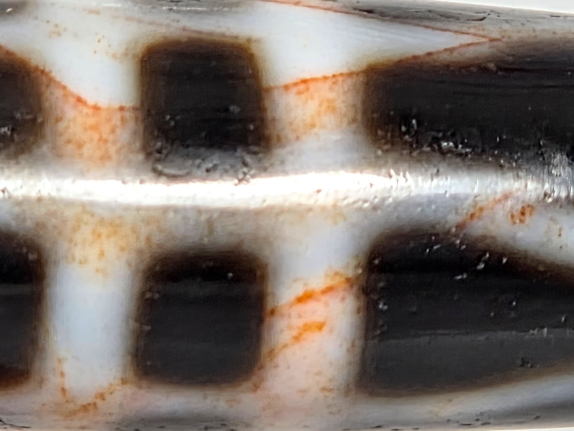 V-070526-3VjBS macro vajra body zone, reddish-brown cinnabar inclusions, white zone saturation, unretouched