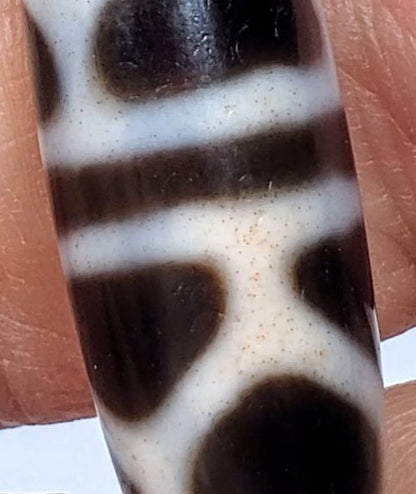 V-090924-DLBS Double Longevity dzi bead, macro of motif zone showing cream-zone focused bloodspot distribution, unretouched