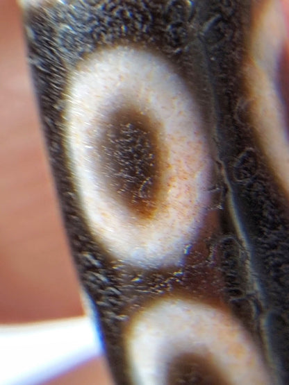V-092924-8EBS Eight Eye dzi bead, macro of eye ring showing orange-rust cinnabar inclusions in cream zone, unretouched