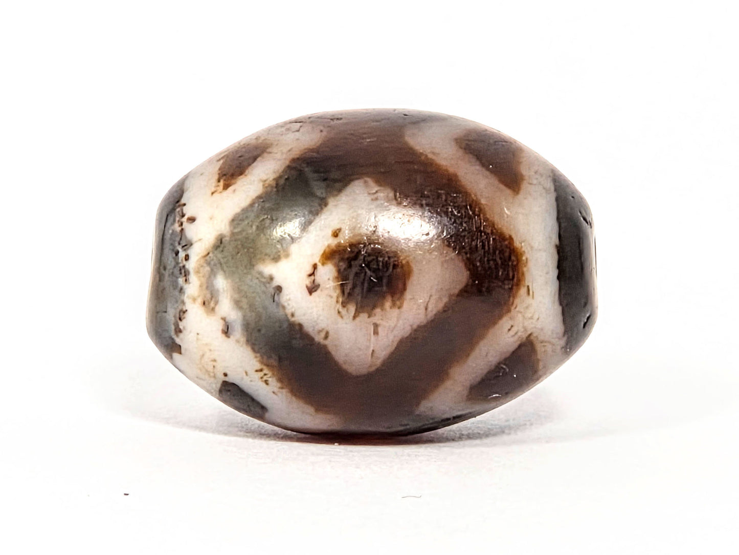 Three Eye Tiger Tooth V-072226-3ETT 21.2×15.4mm cream-white agate face A — diamond eye, cool grey zone, unretouched.