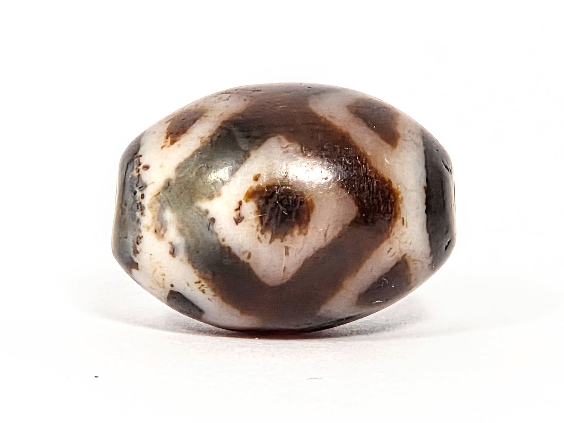 Three Eye Tiger Tooth V-072226-3ETT 21.2×15.4mm cream-white agate face A — diamond eye, cool grey zone, unretouched.