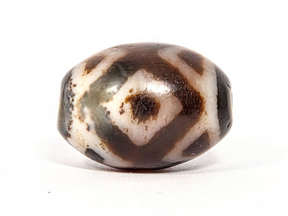Three Eye Tiger Tooth V-072226-3ETT 21.2×15.4mm cream-white agate face A — diamond eye, cool grey zone, unretouched.