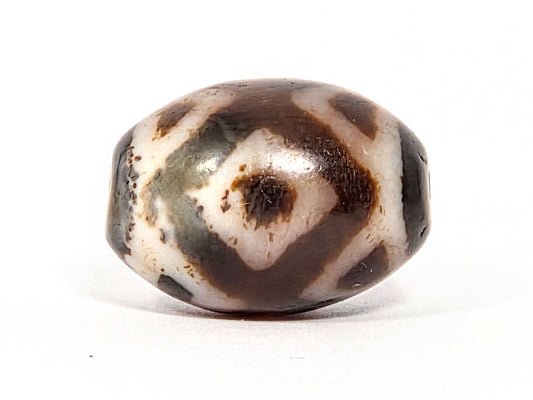 Three Eye Tiger Tooth V-072226-3ETT 21.2×15.4mm cream-white agate face A — diamond eye, cool grey zone, unretouched.