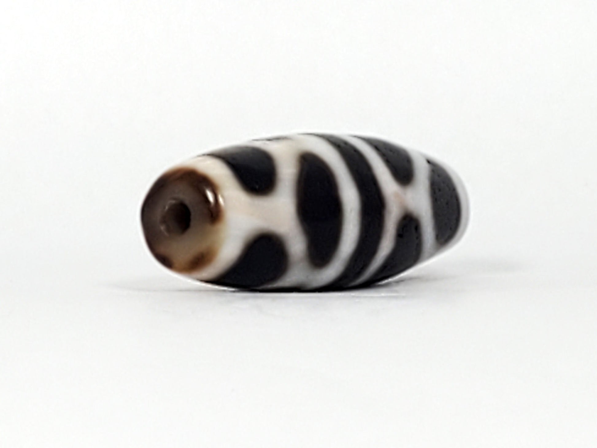 V-092824-DLBS Double Longevity dzi bead, angled end view, warm brown drill tip and cream-white body, unretouched