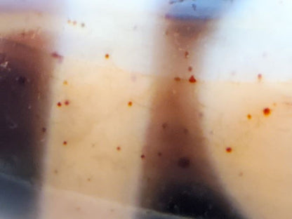 V-082123-HEBS Heaven & Earth dzi bead, rotated angle showing equatorial surface marks and cream bands, unretouched